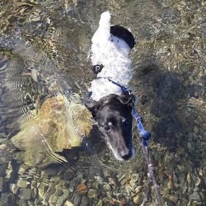 Meet your Posher, Karen